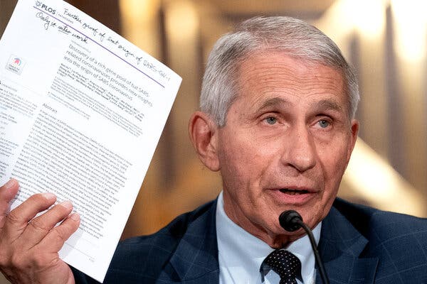 Dr. Anthony Fauci, director of the National Institute of Allergy and Infectious Diseases, spoke during a Senate hearing on Tuesday.